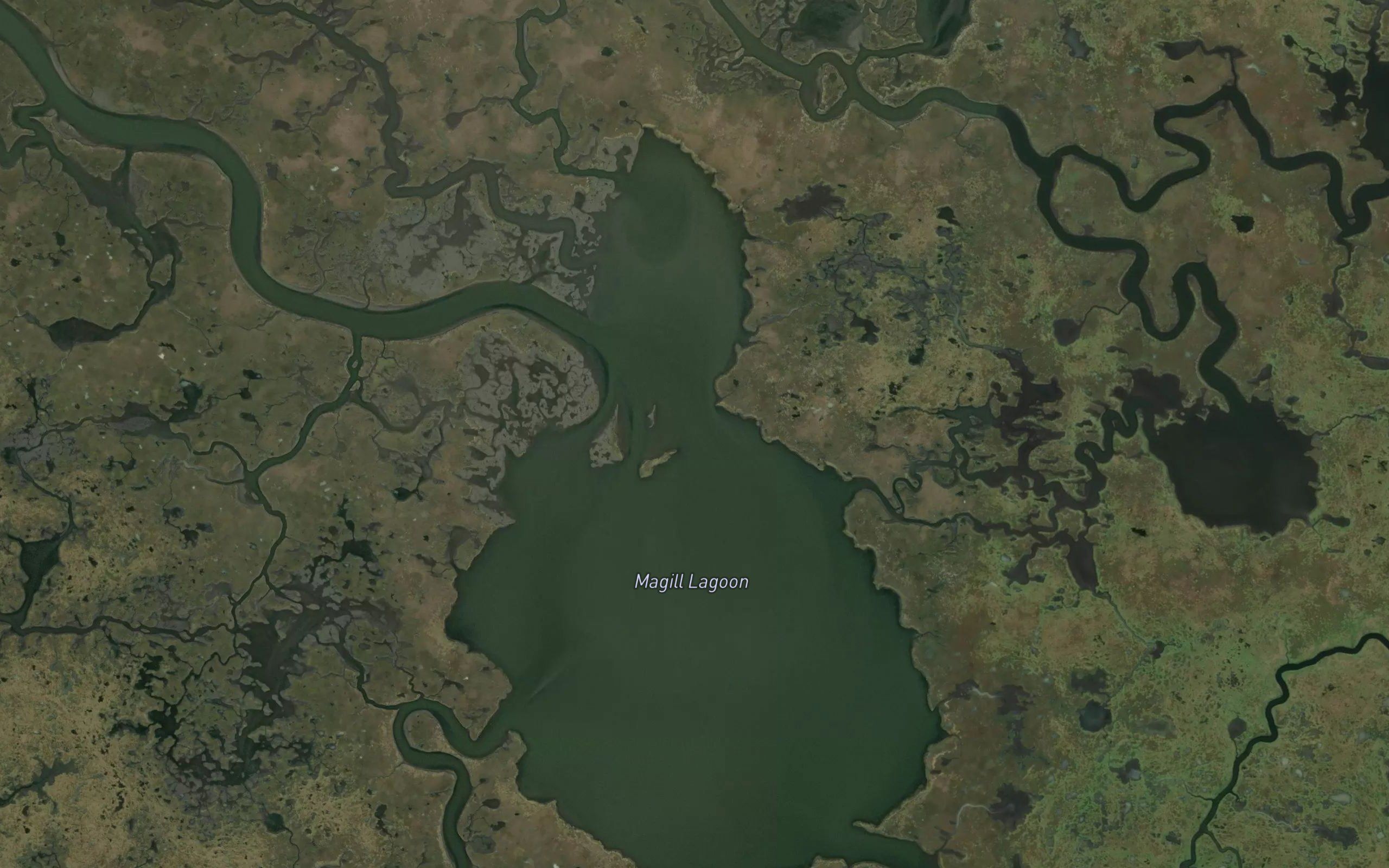 Magill Lagoon