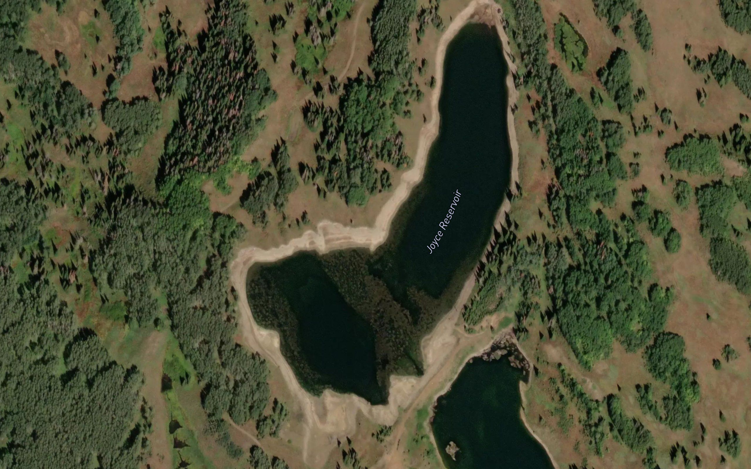 Joyce Lake