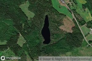 Pitka Kortelampi