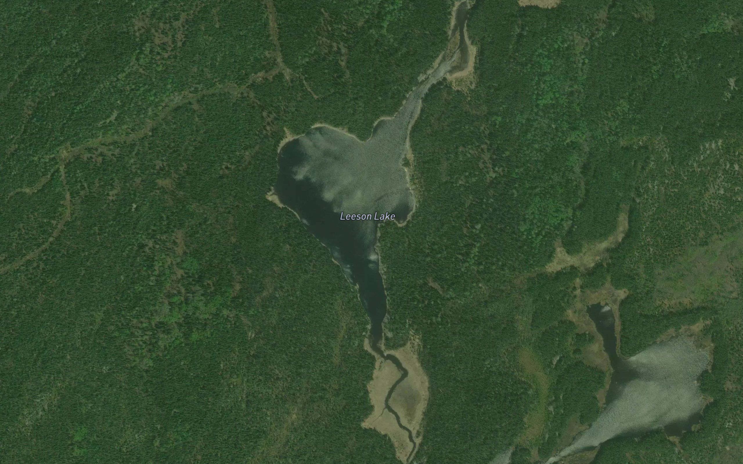 Leeson Lake