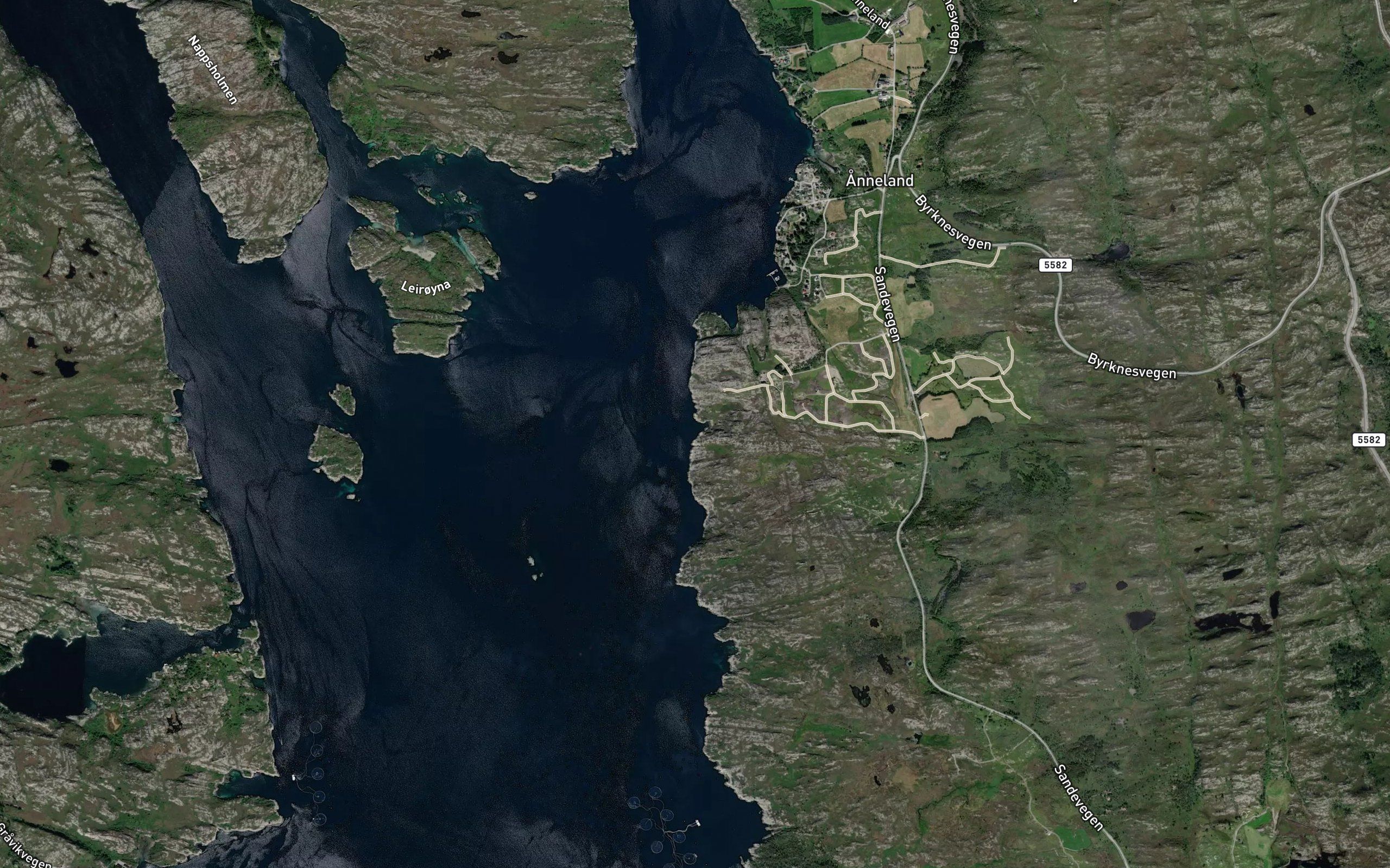 Juvvika