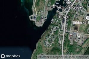 Inndyrsvagen