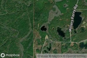 Black Pond