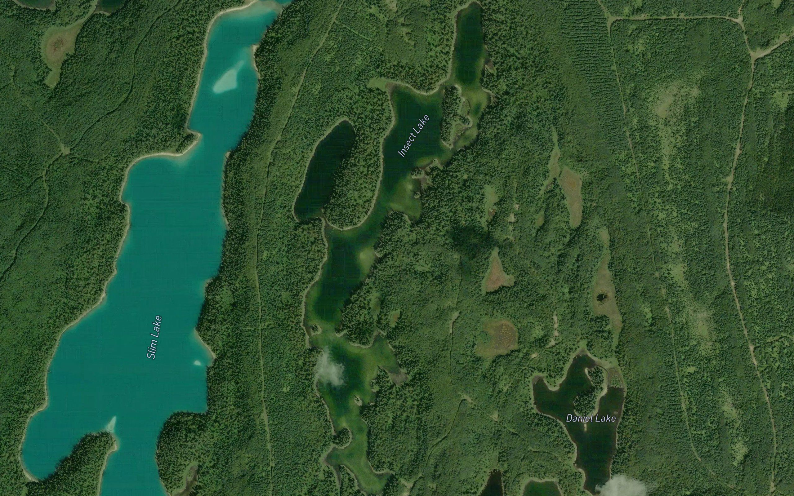 Insect Lake