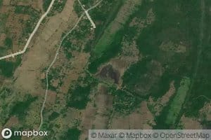 Tamara Hammillewa Wewa