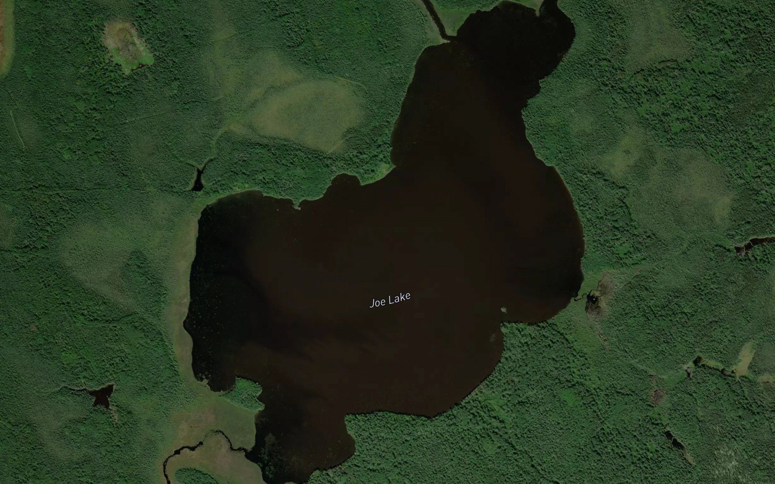Joe Lake