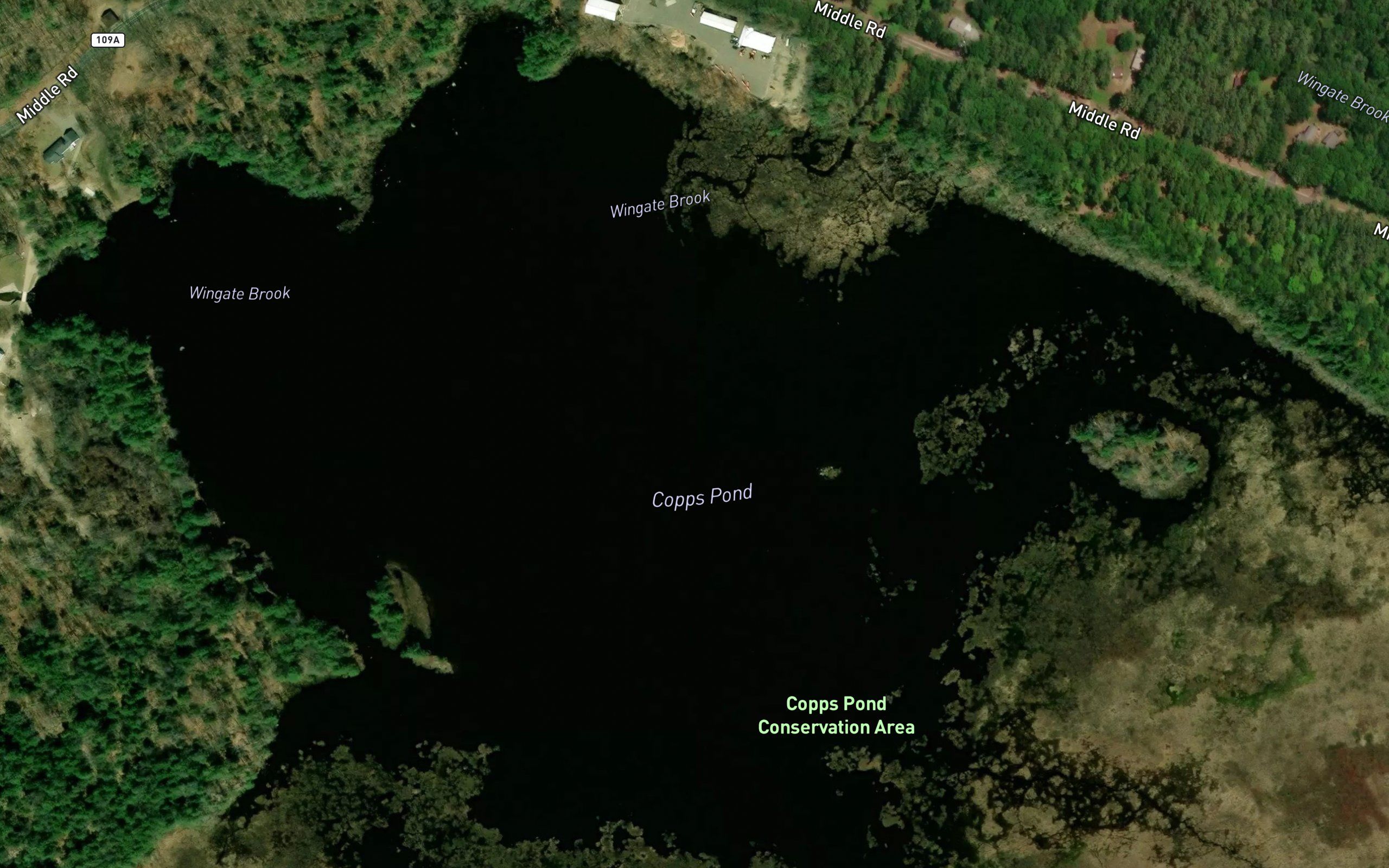 Copps Pond