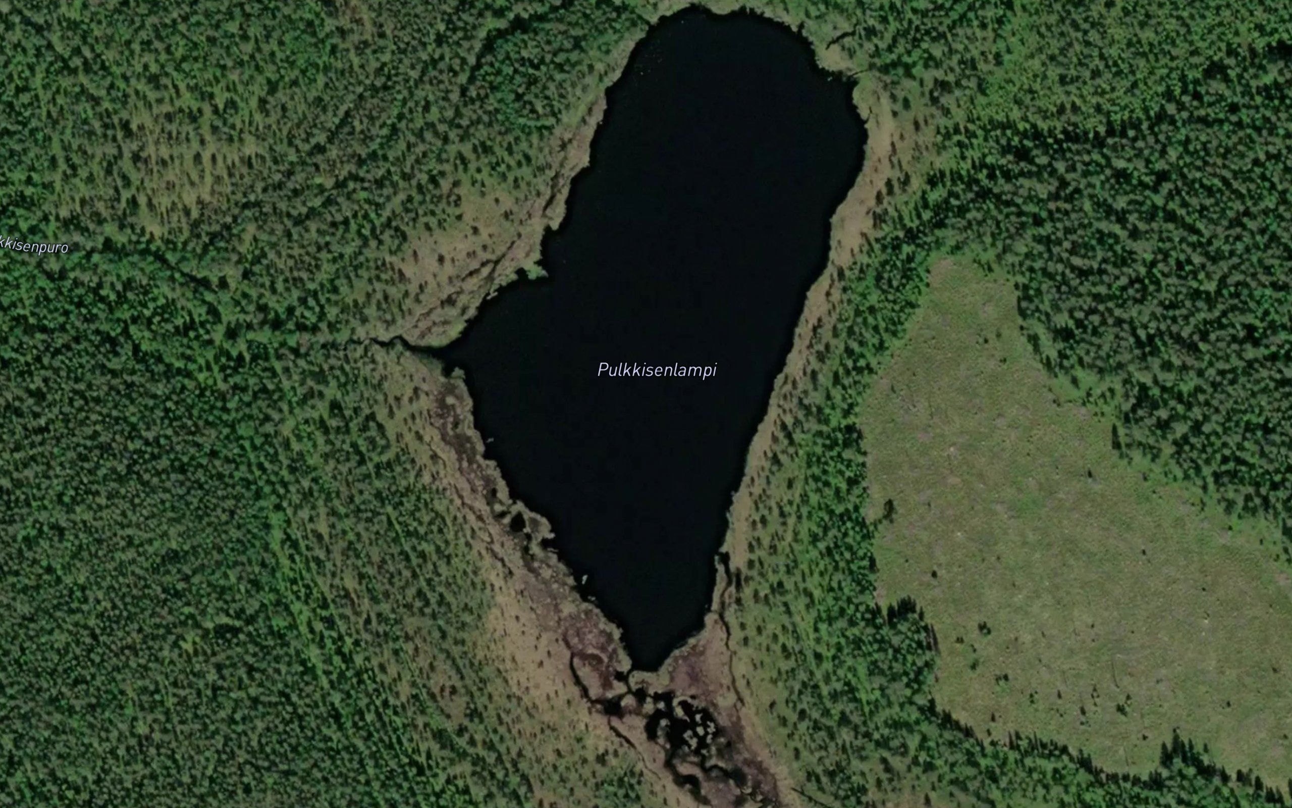 Pulkkisenlampi