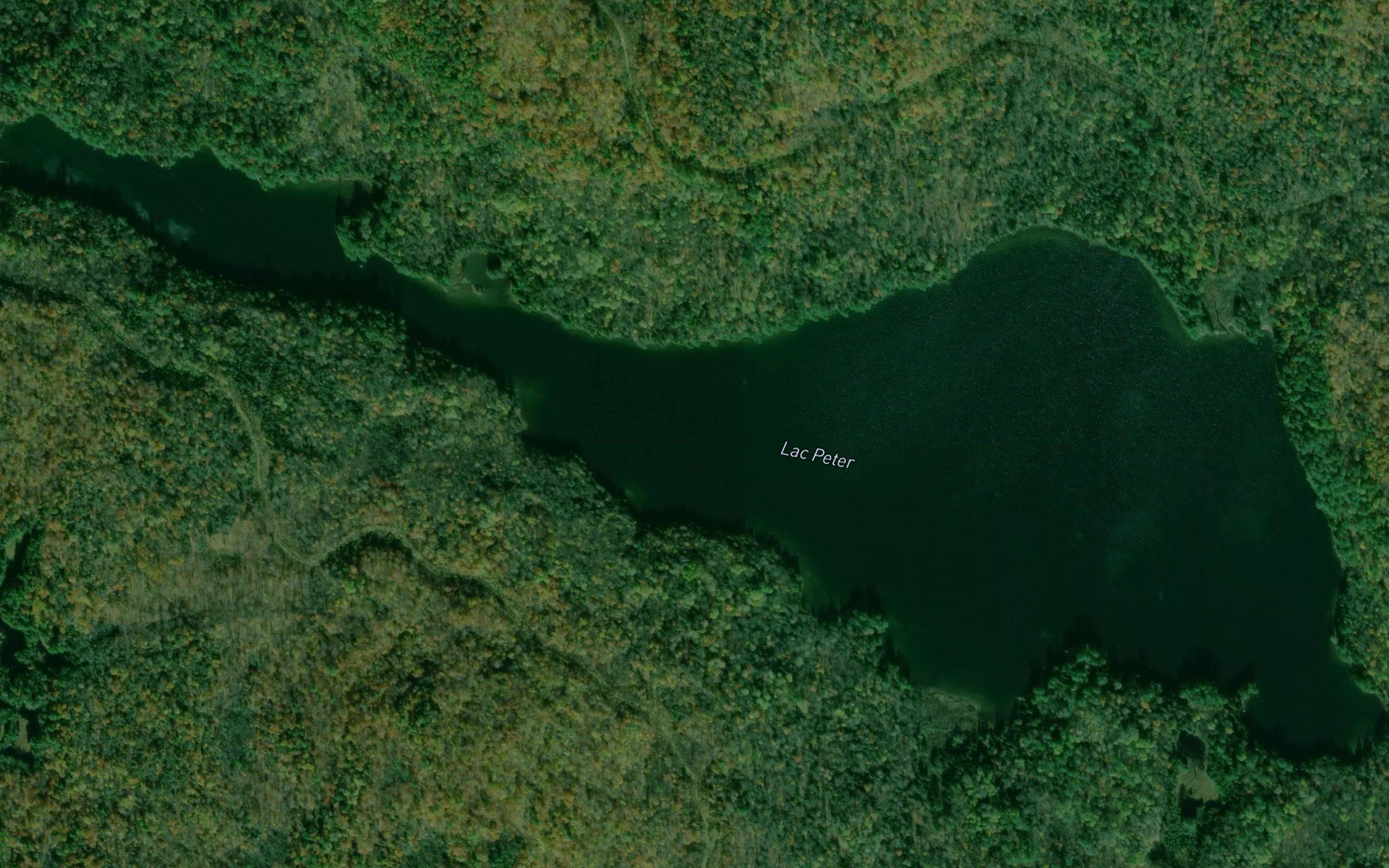 Lac Peter