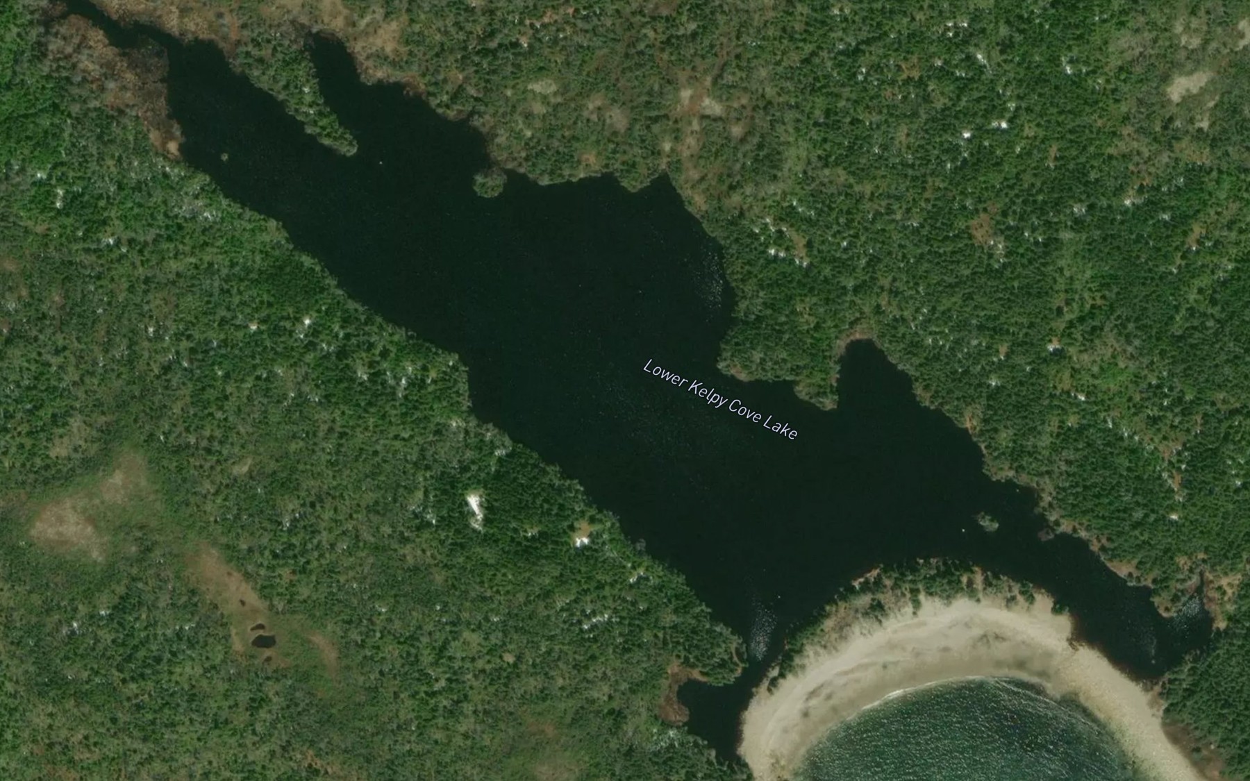 Satellite map of the Lower Kelpy Cove Lake