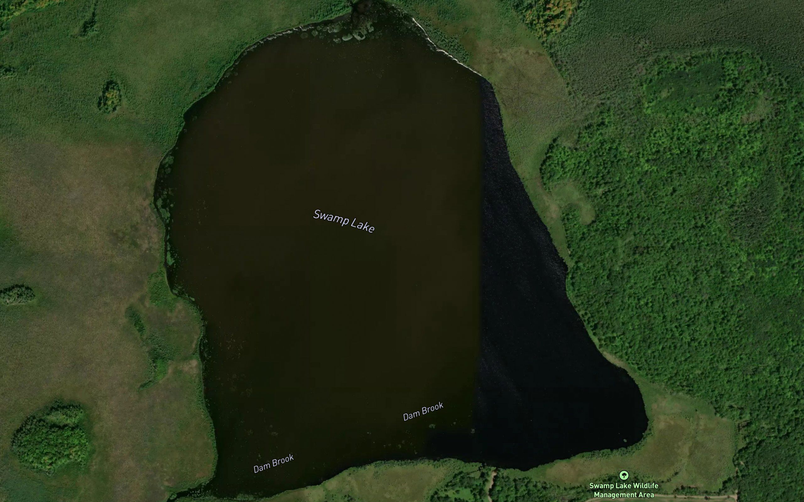 Swamp Lake