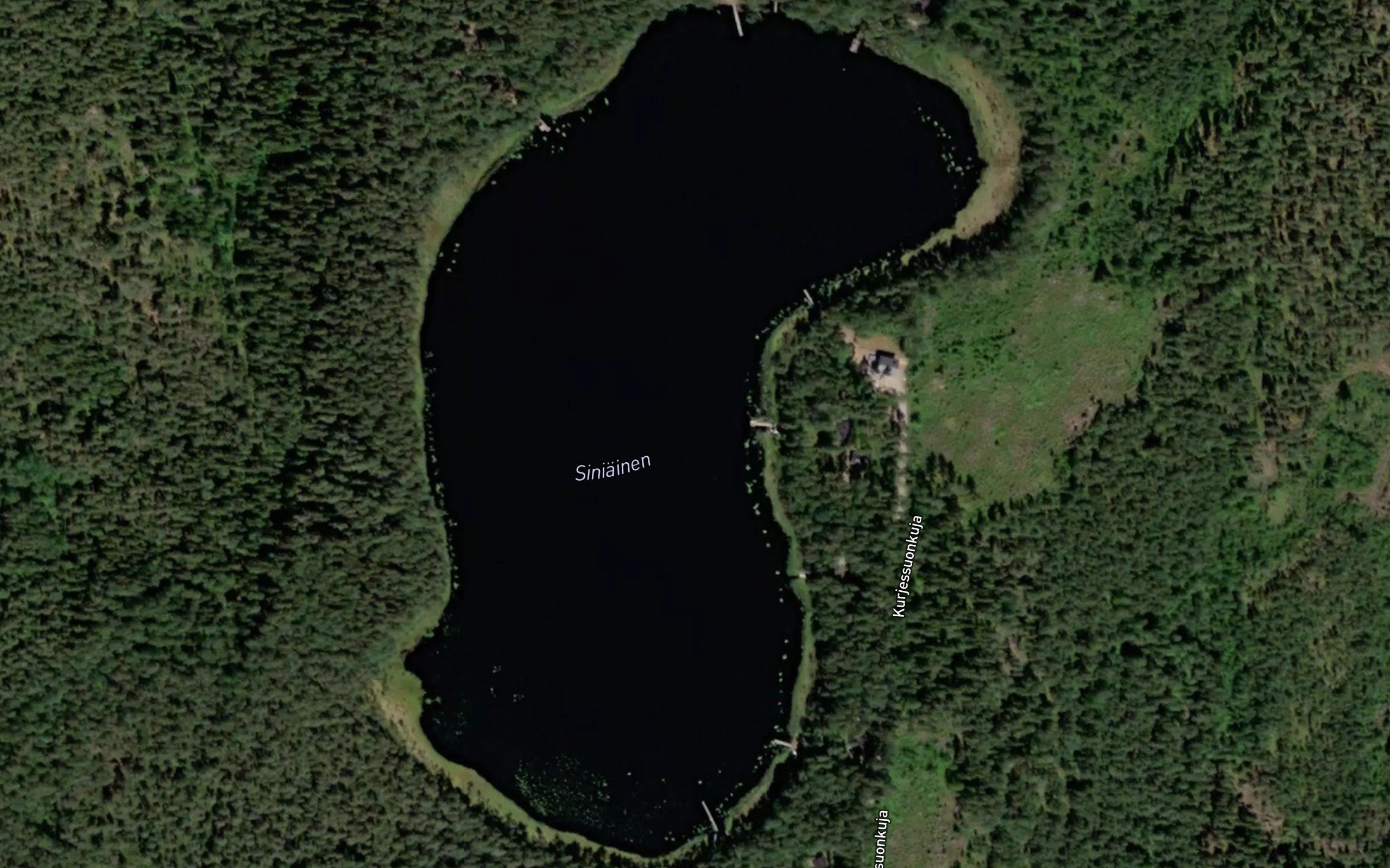 Siniainen