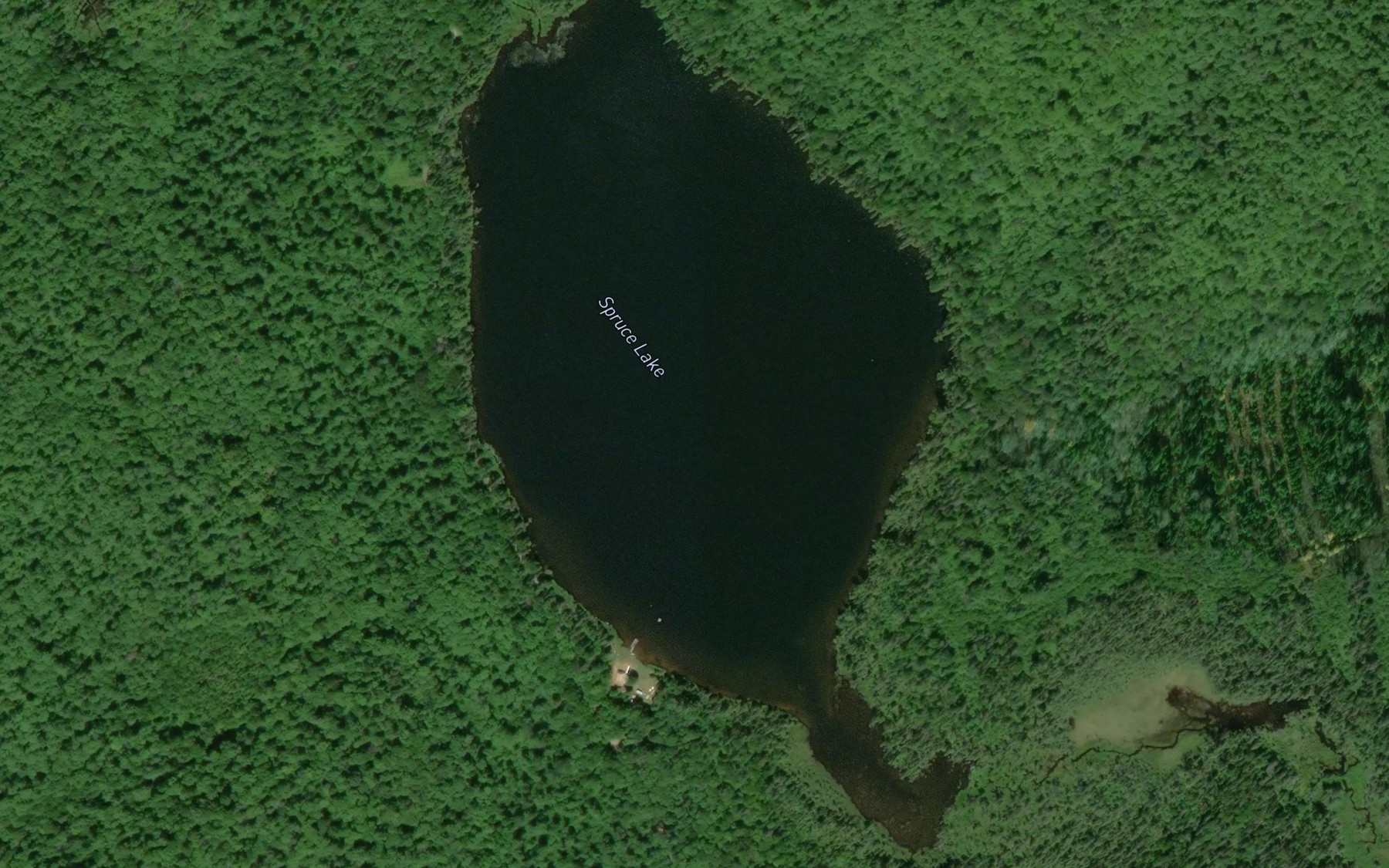 Satellite map of the Spruce Lake