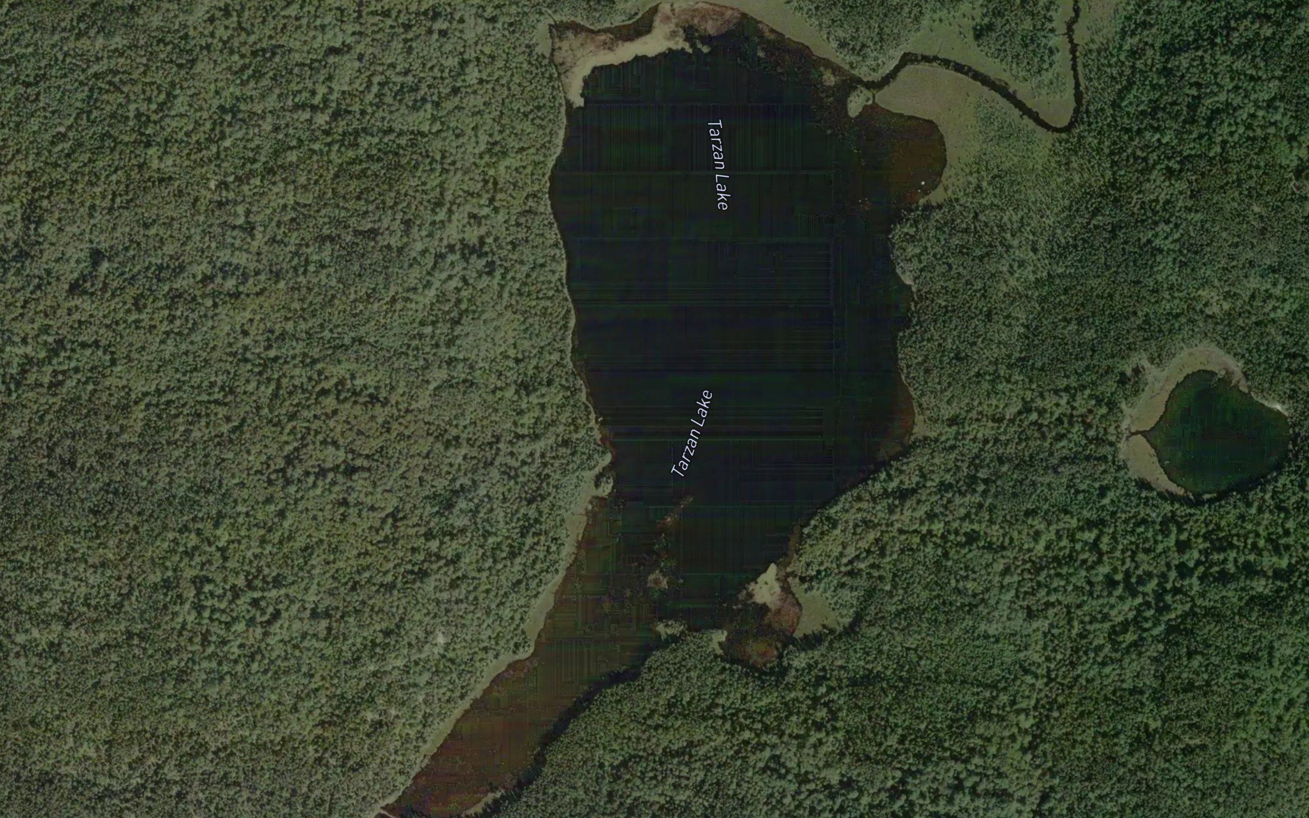 Tarzan Lake