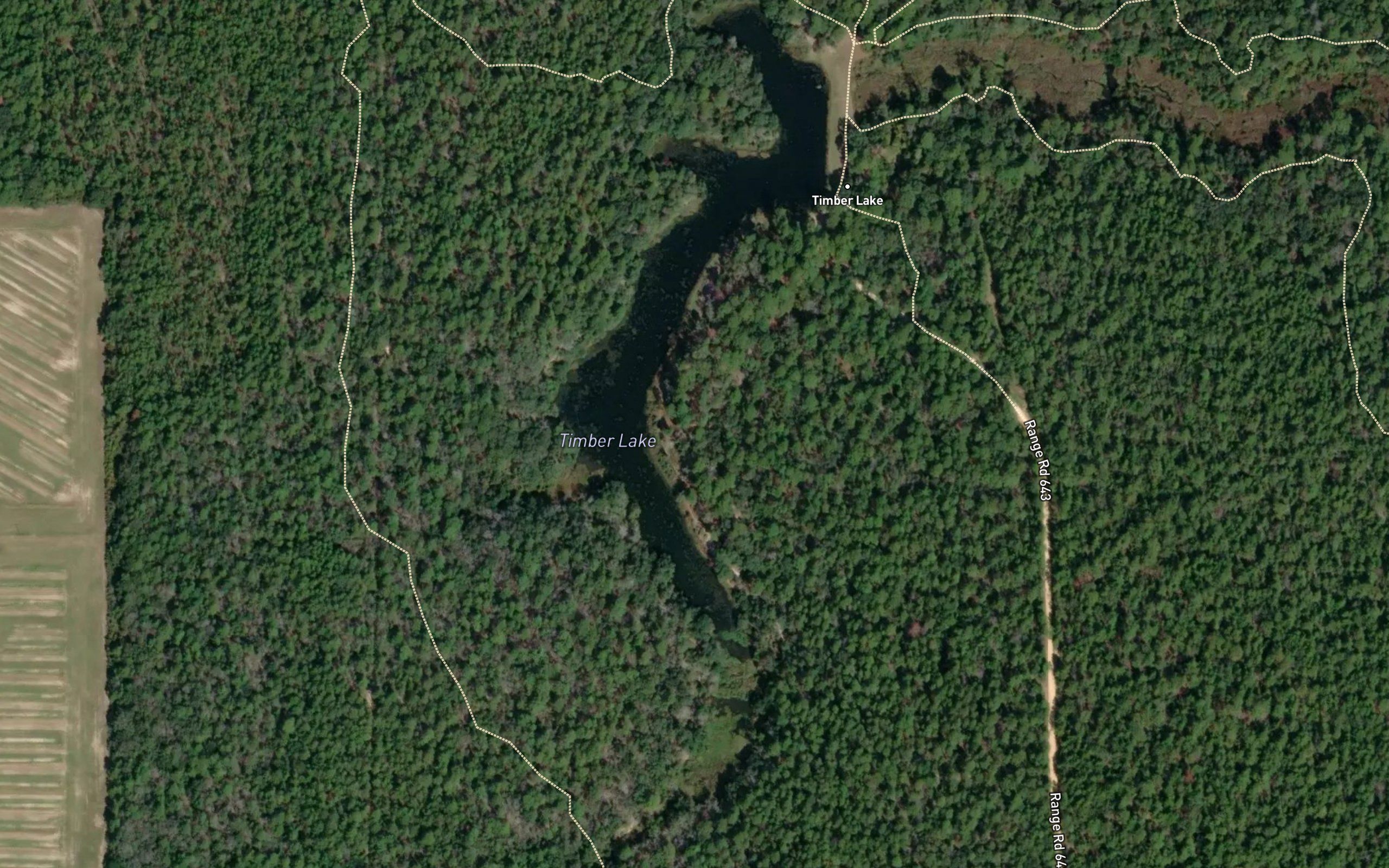 Timber Lake