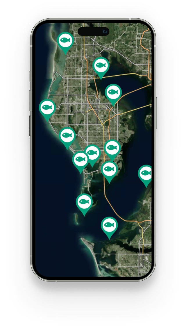 Mobile Discover New Local Fishing Spots Where Fish Are Being Caught feature card image