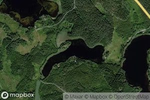 Majava