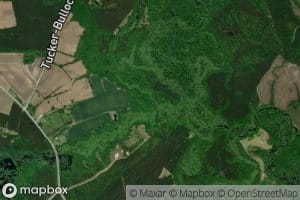 Great Branch Meadow Branch