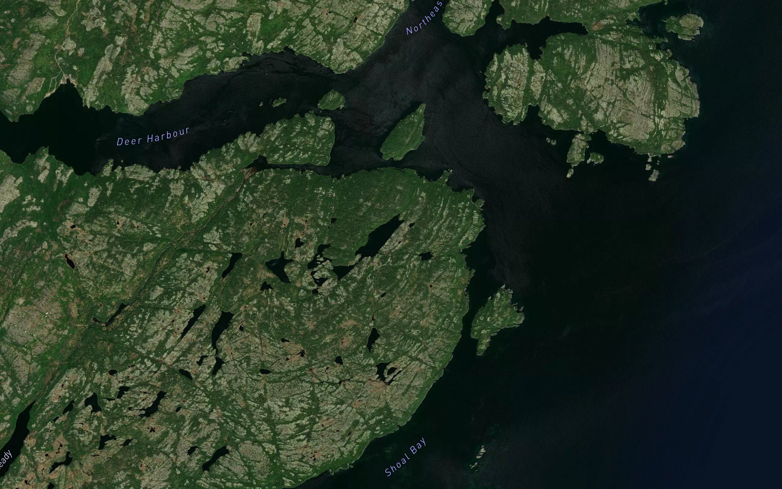 Tea Cove Pond