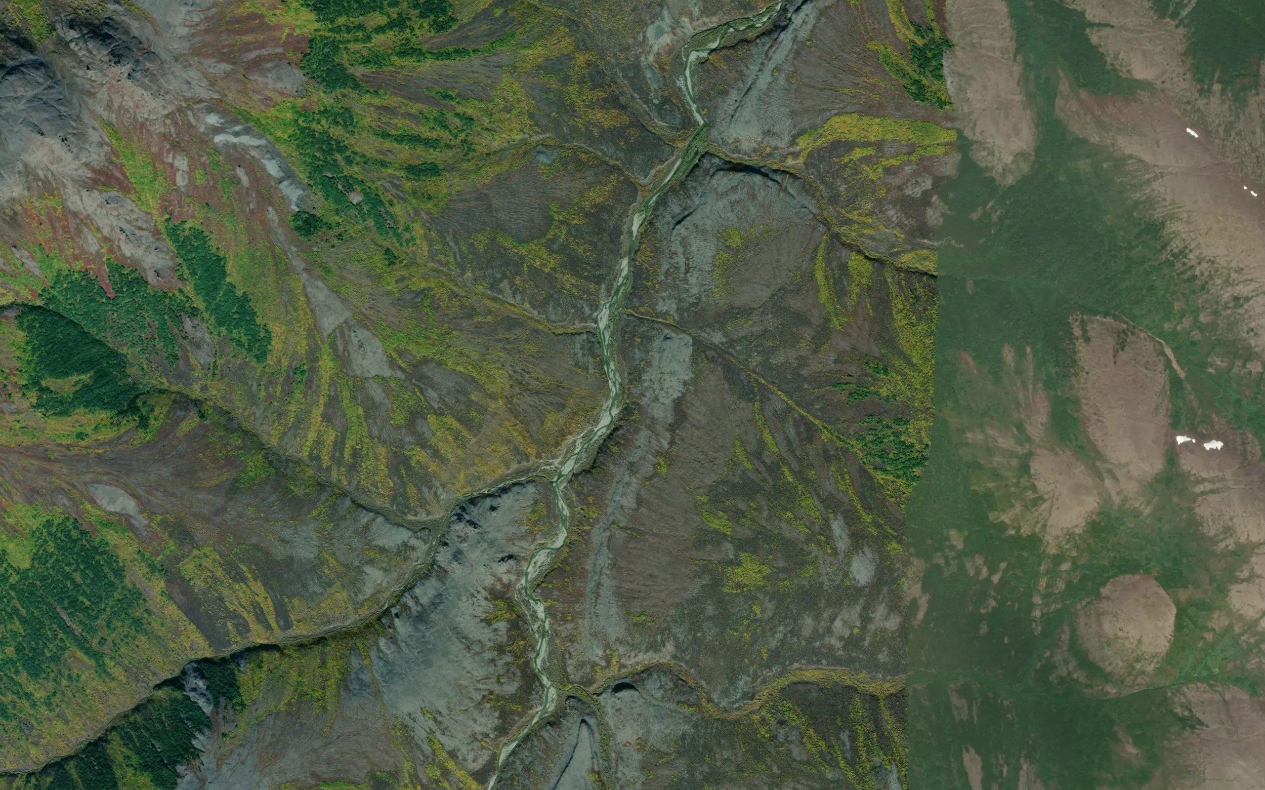 Trout Creek