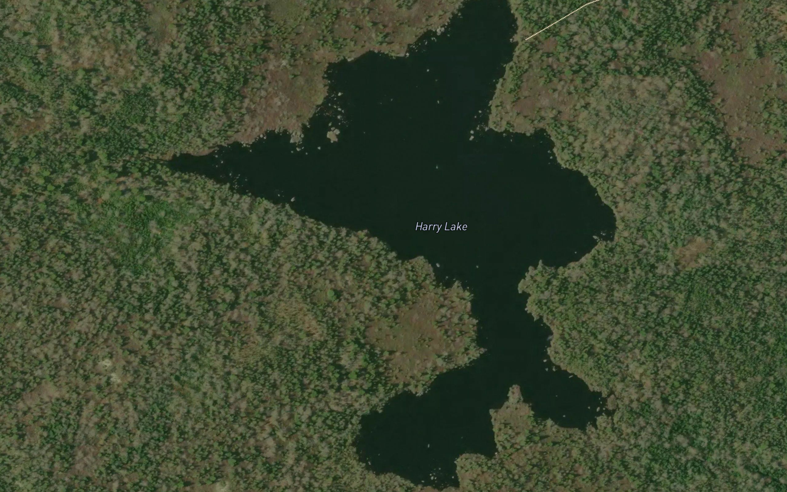 Harry Lake