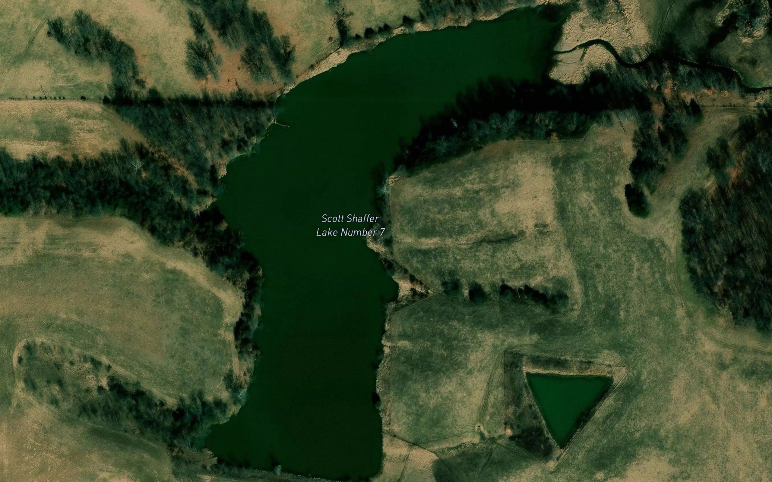 Scott Shaffer Lake Number 7