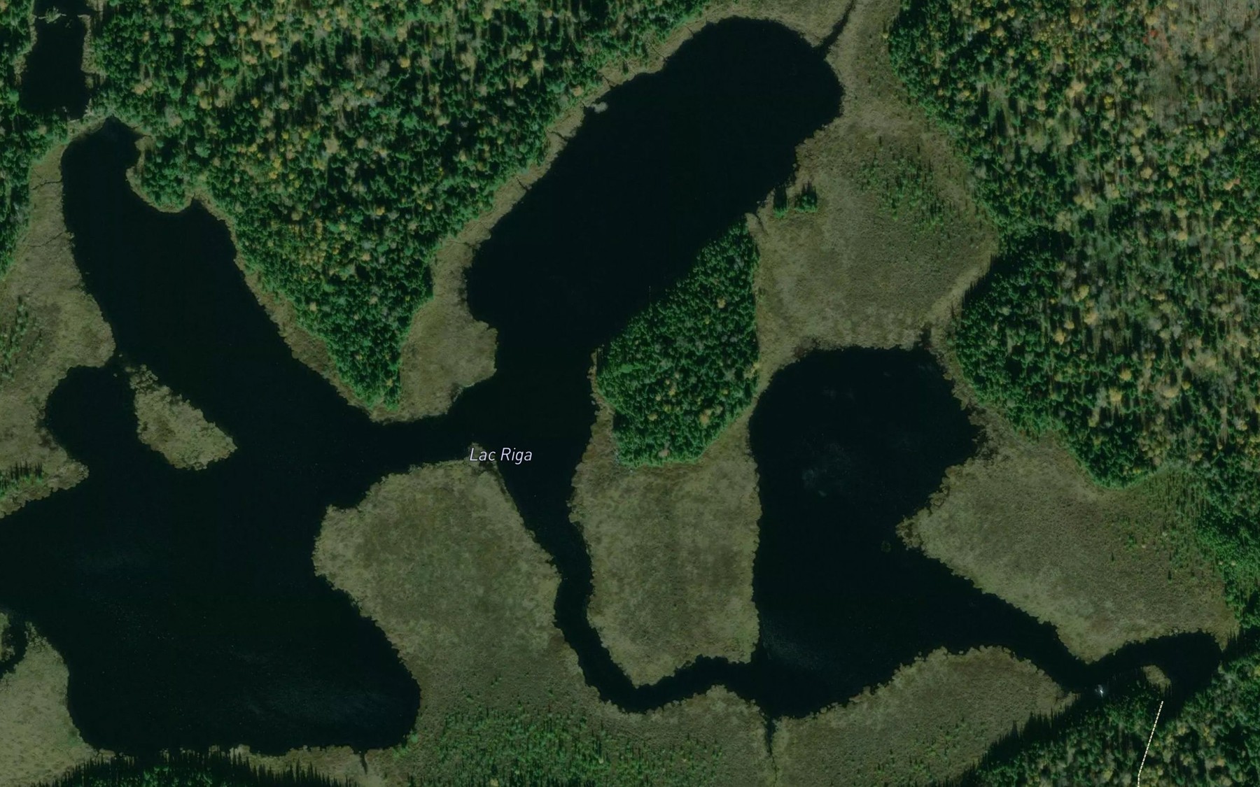 Satellite map of the Lac Riga