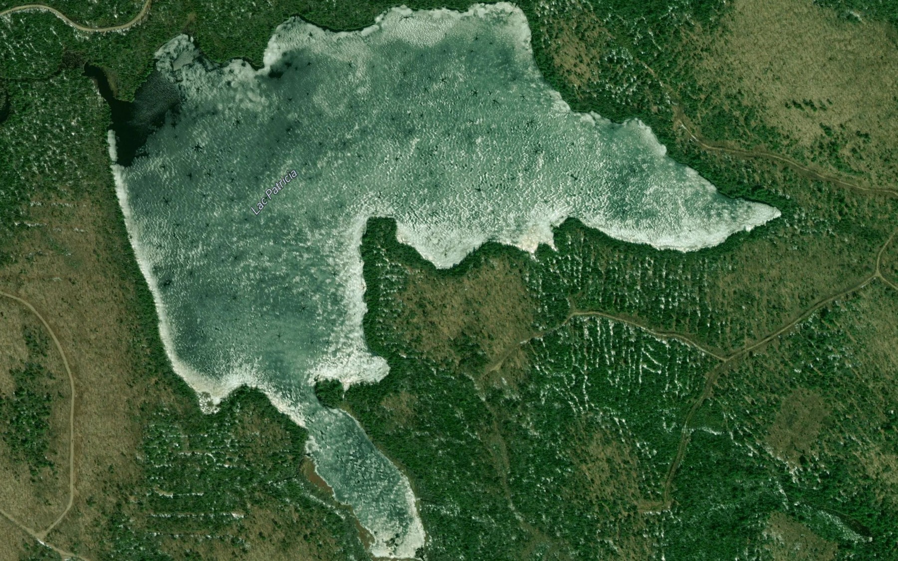 Satellite map of the Lac Patricia