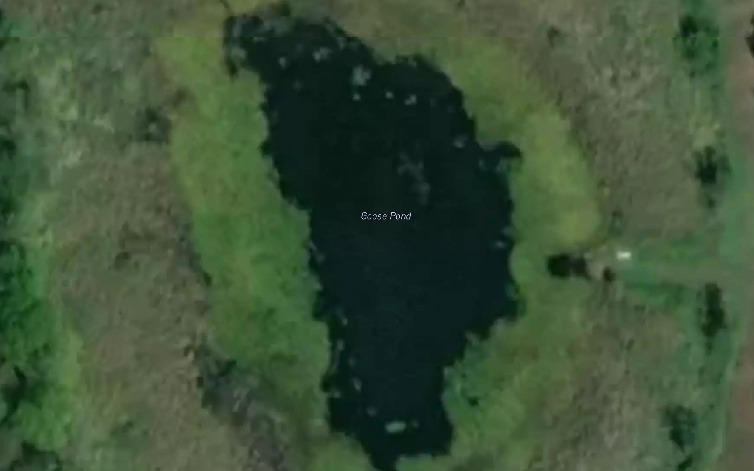Goose Pond