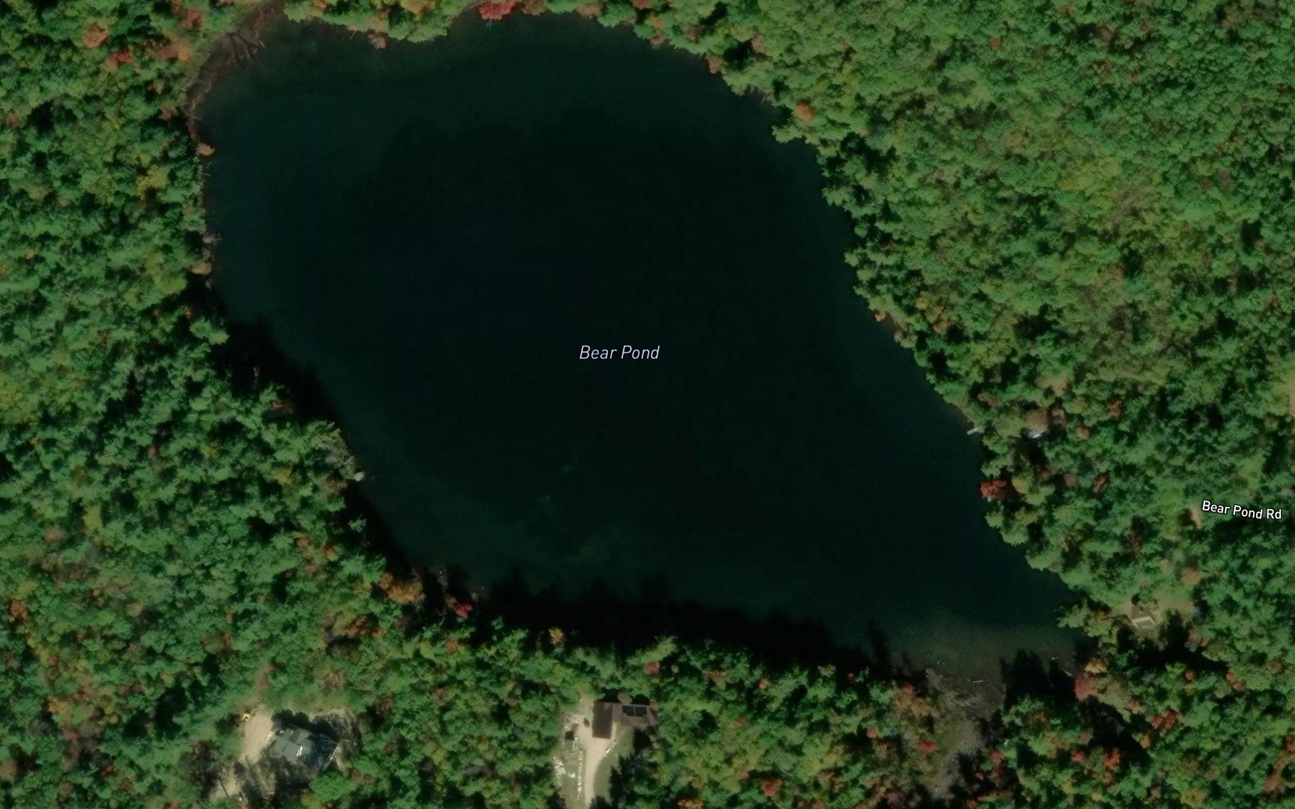 Bear Pond