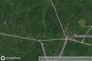 Beaver Meadows Creek