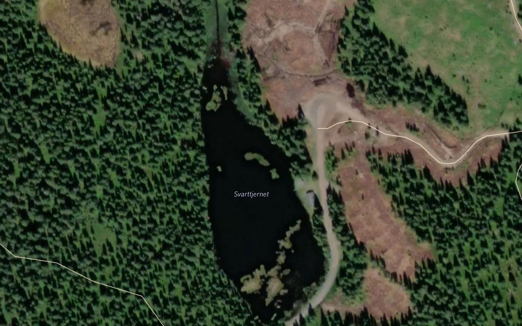 Satellite map of the Svarttjernet