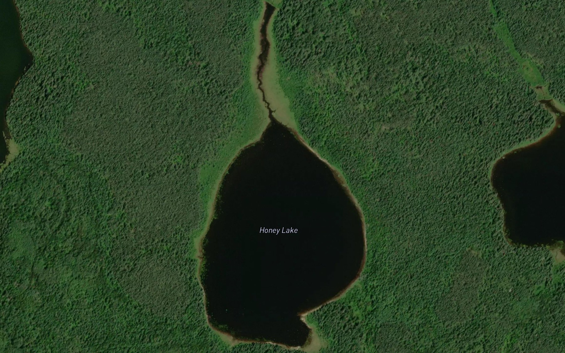 Satellite map of the Honey Lake