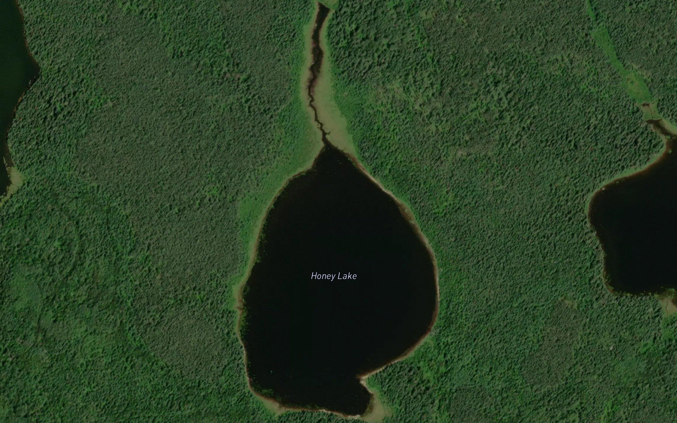 Honey Lake