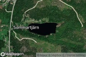 Sommartjaernen