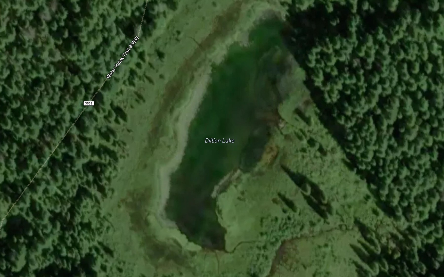 Satellite map of the Dillion Lake