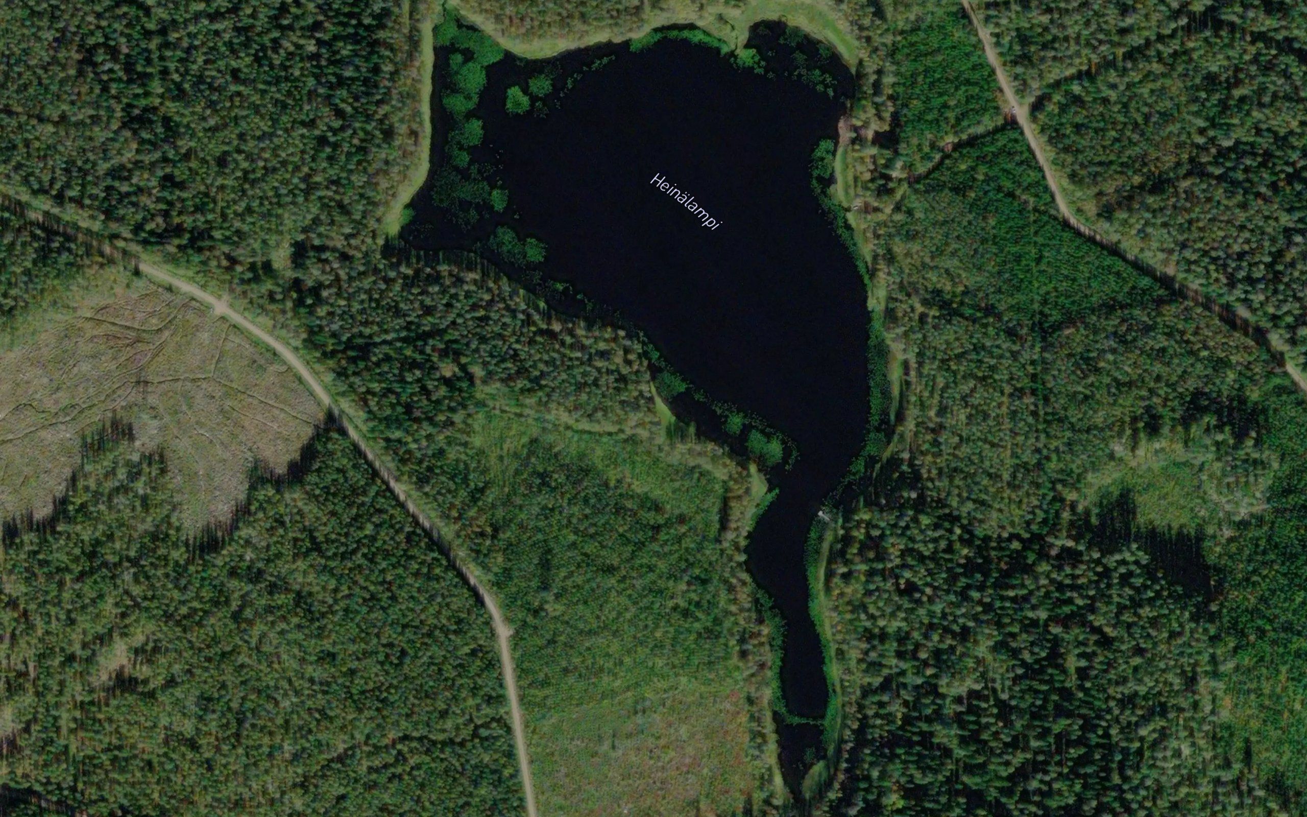 Heinalampi