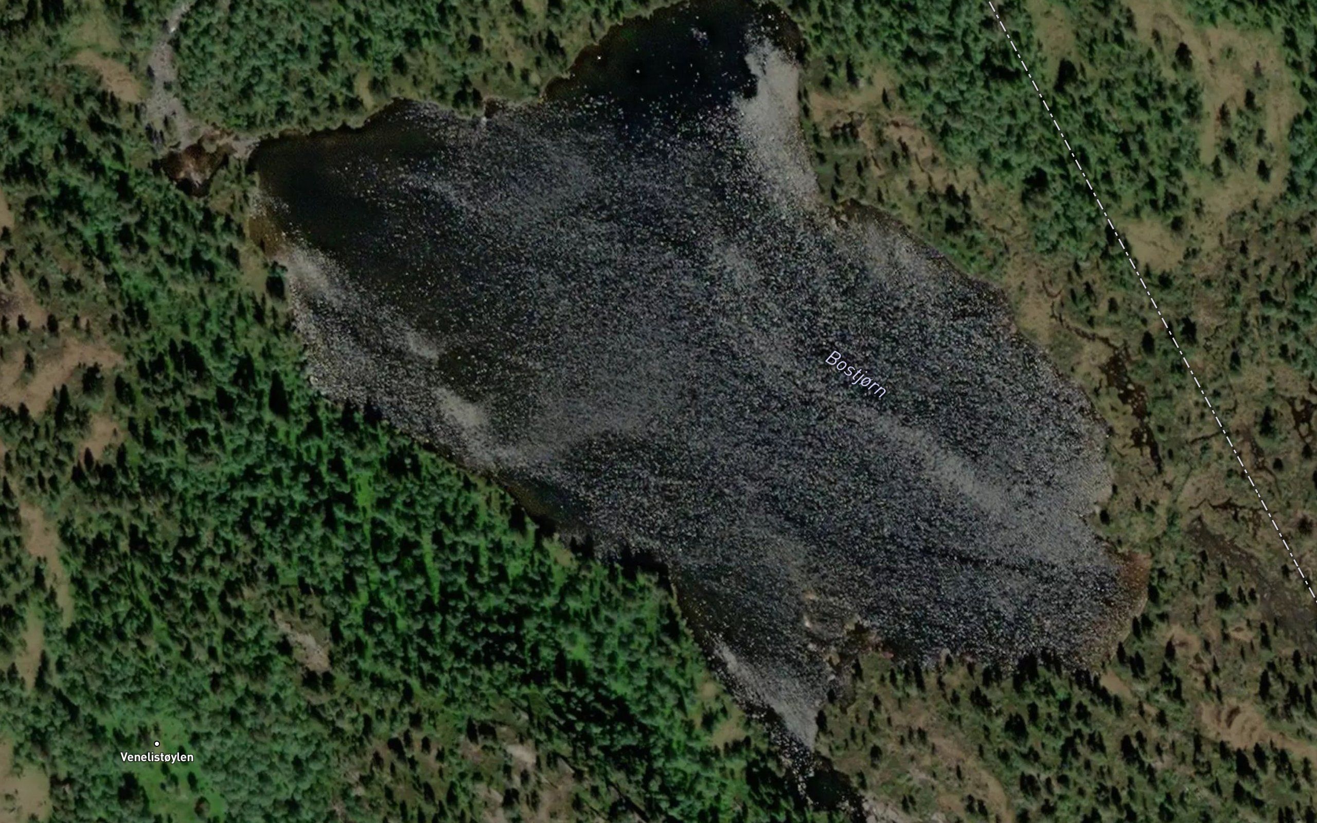 Bostjorn