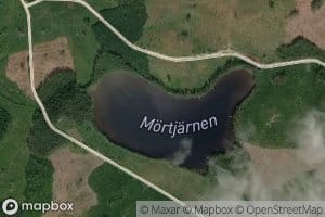 Morttjarn