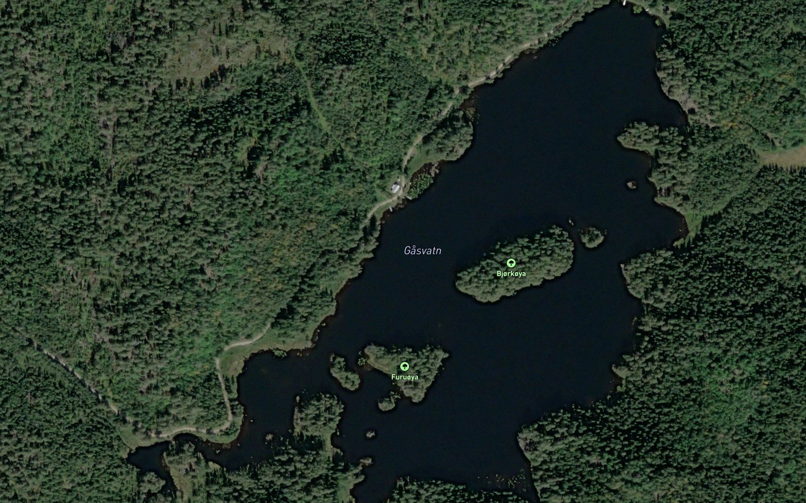 Gasvatn