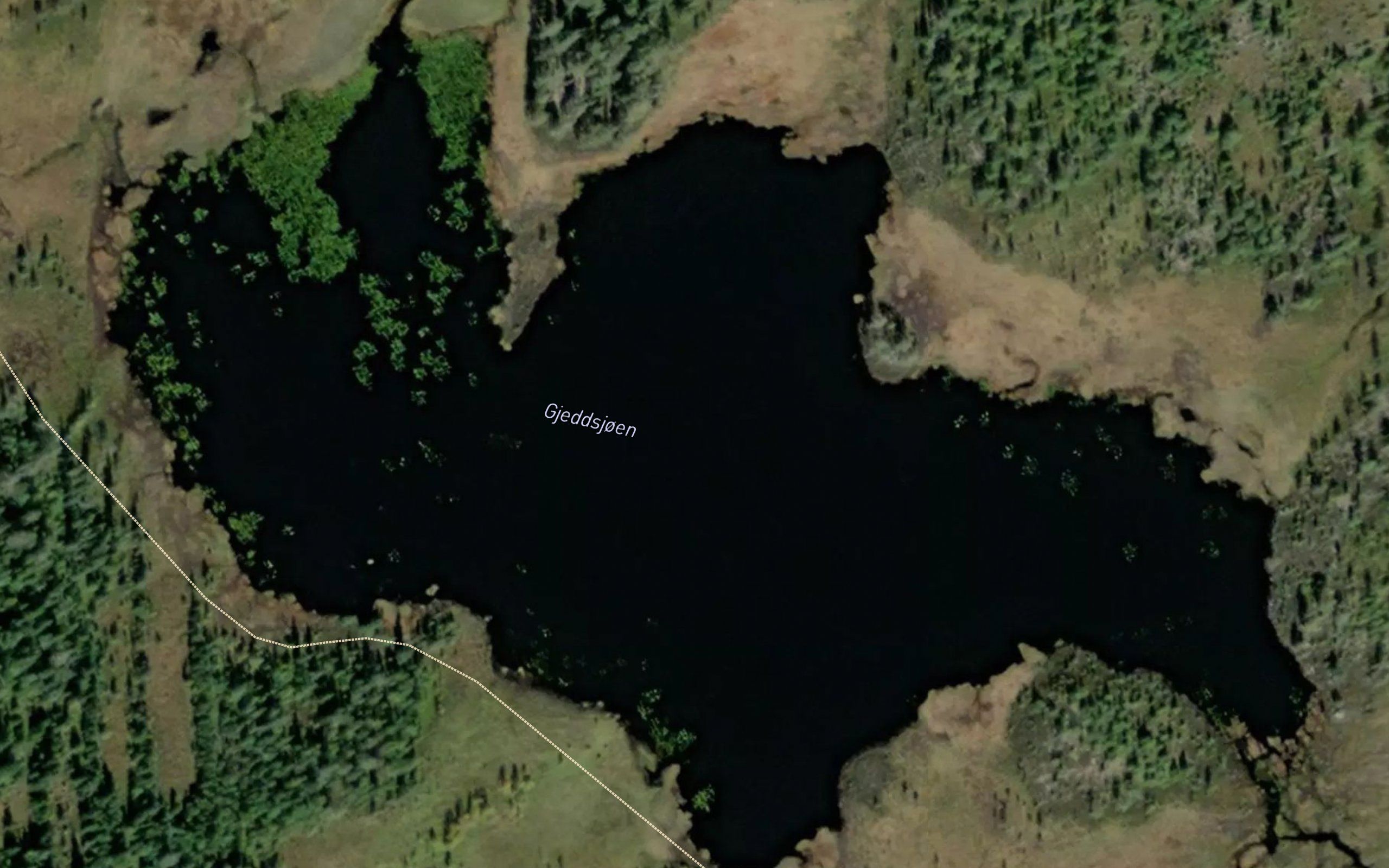 Gjeddsjoen