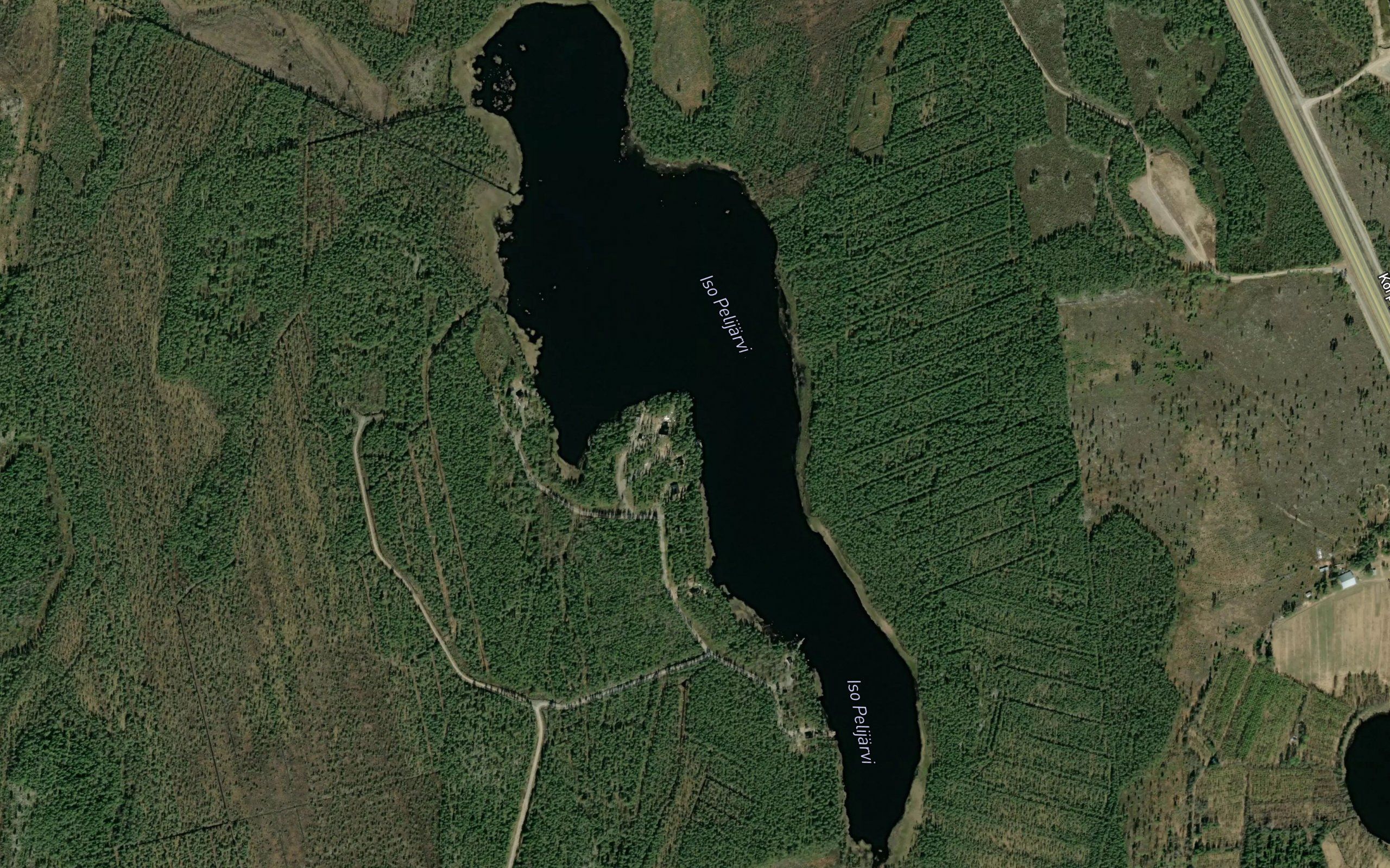 Iso Pelijarvi