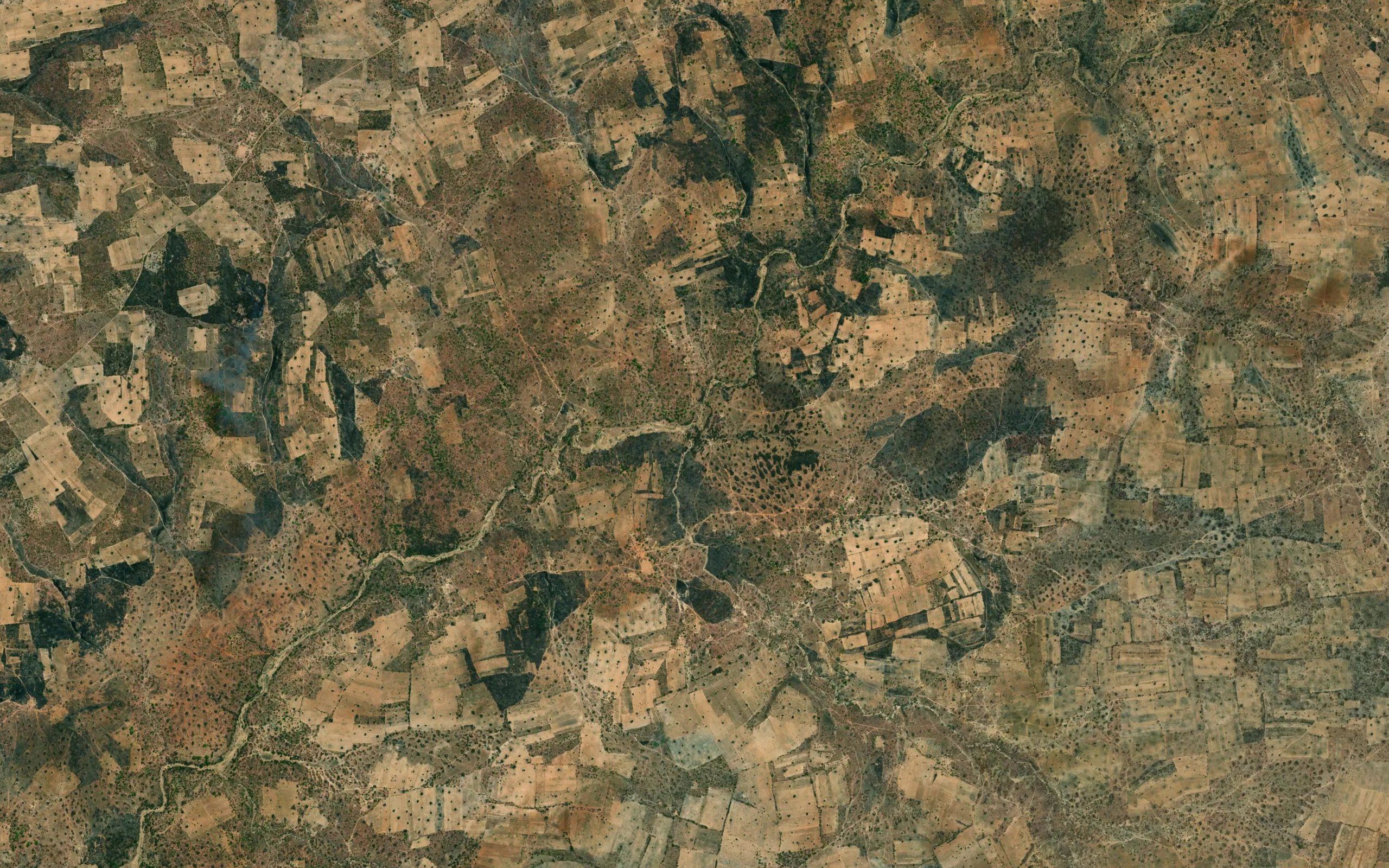 Simbaluma