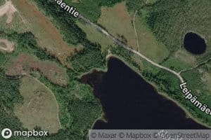 Haukkajoki
