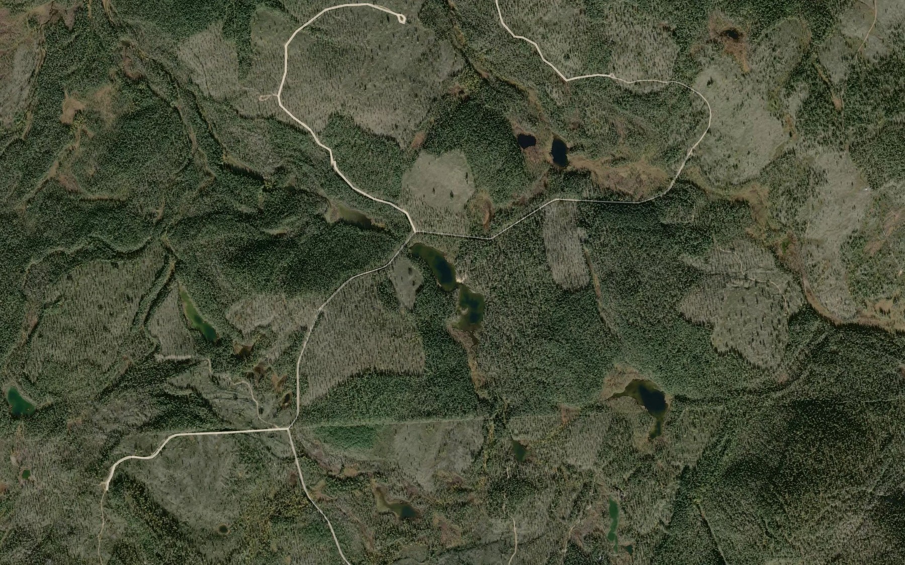 Satellite map of the Salmijarvi