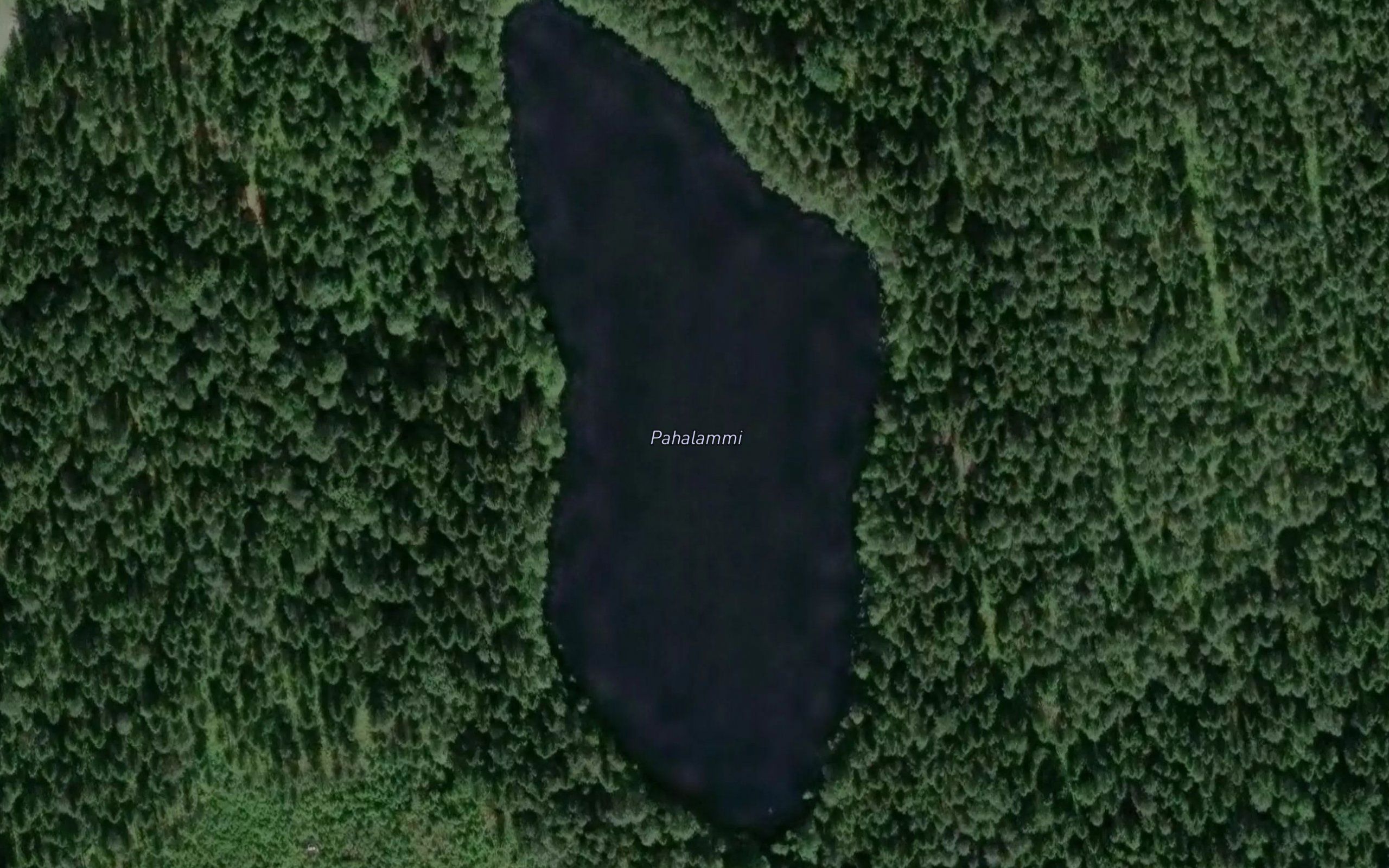 Pahalammi