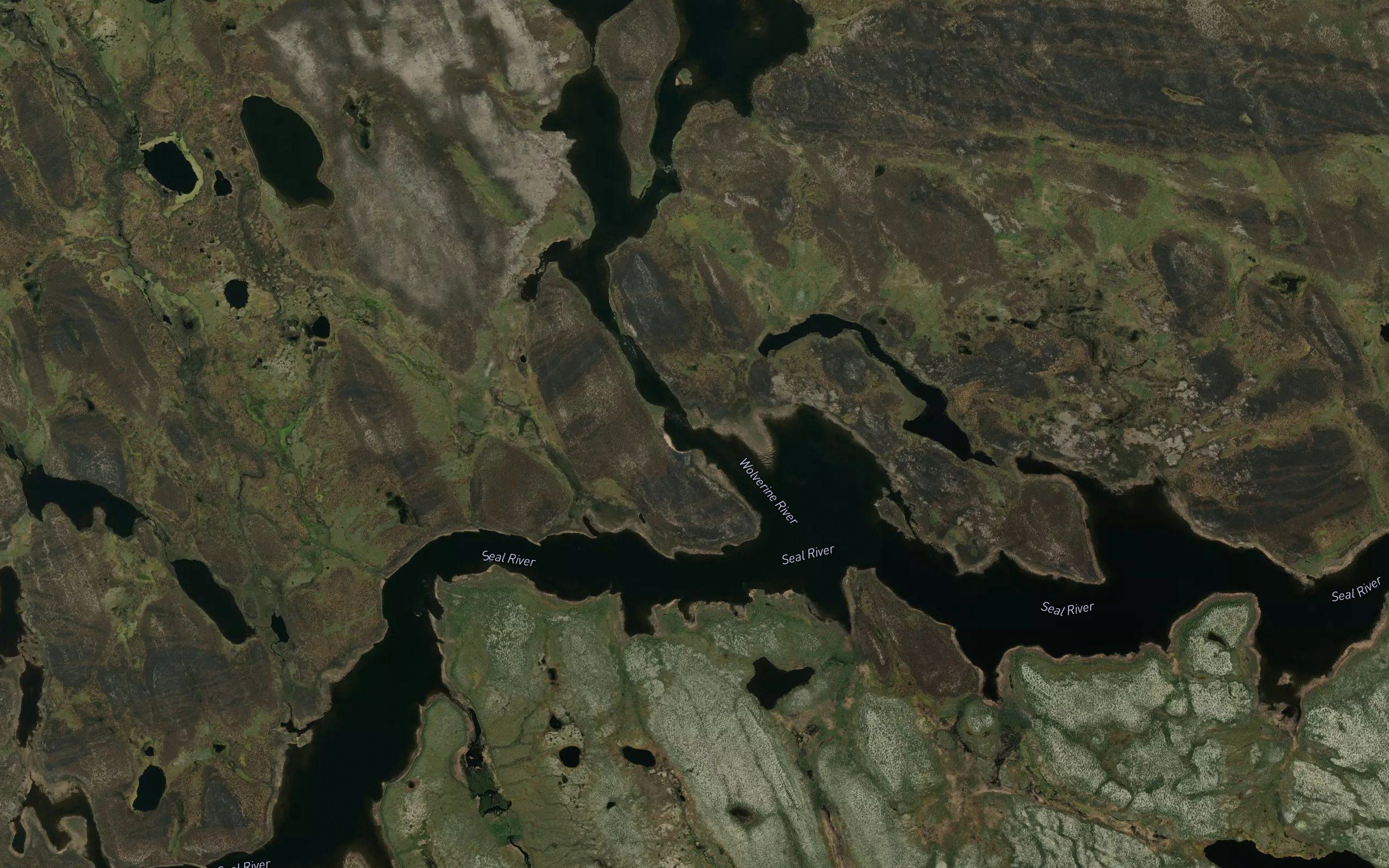 Wolverine River