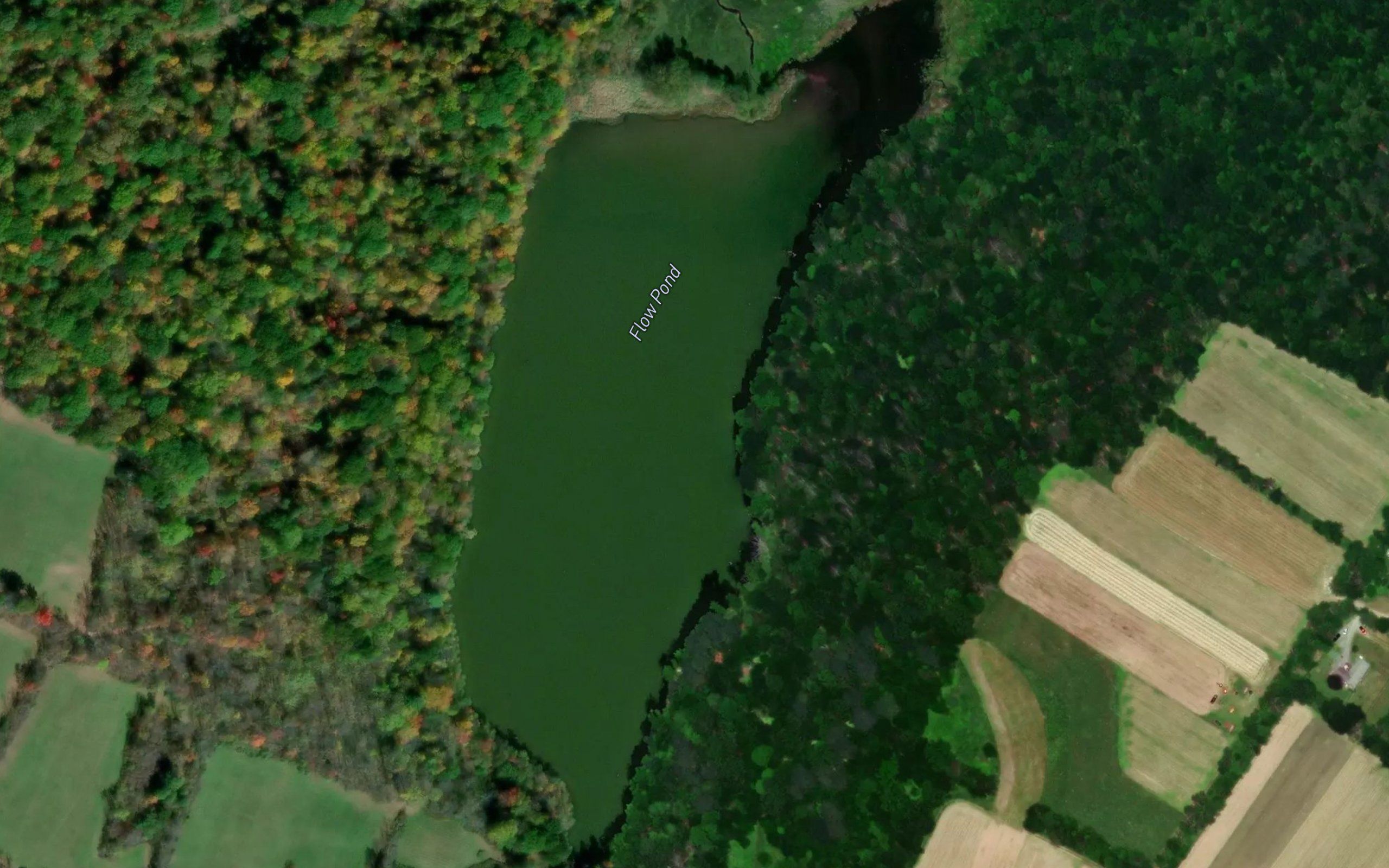 Flow Pond