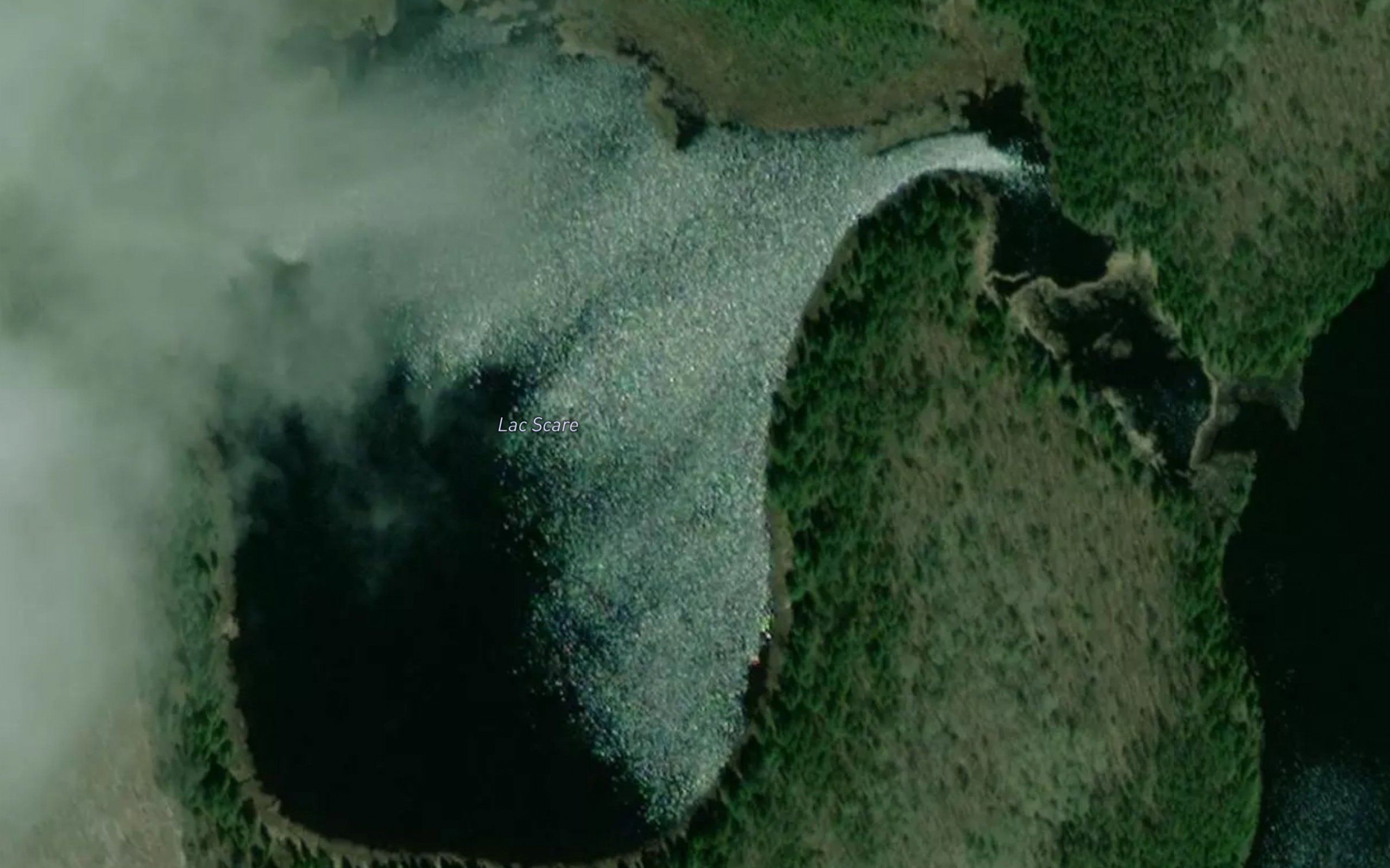 Lac Scare