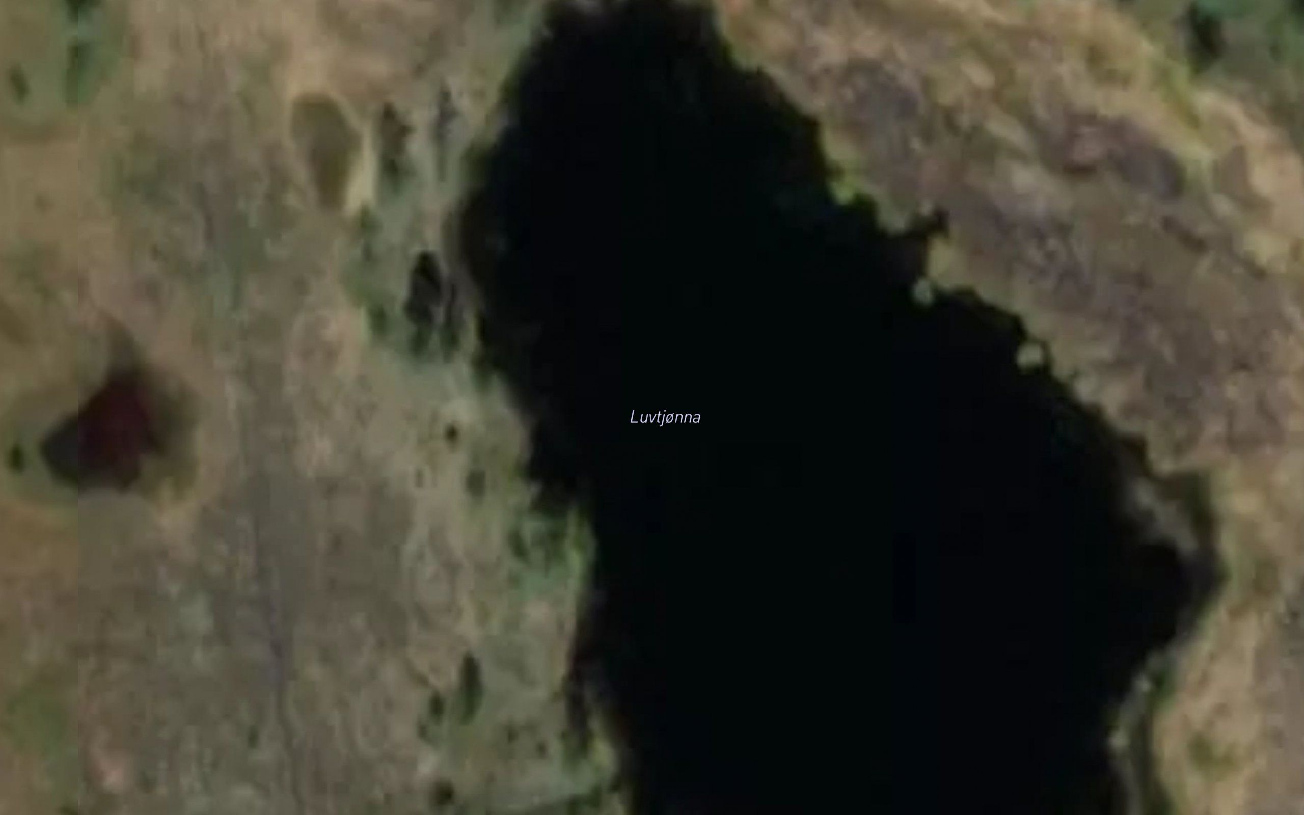 Luvtjorna